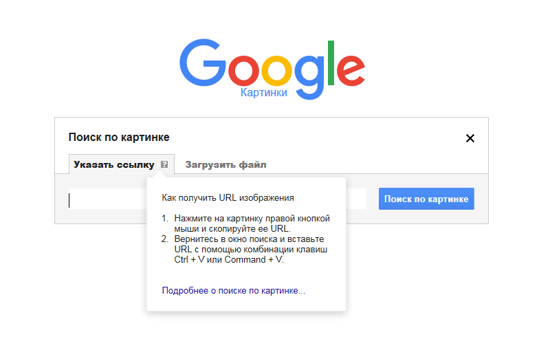 Google поиск похожих картинок