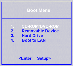 BIOS boot menu option