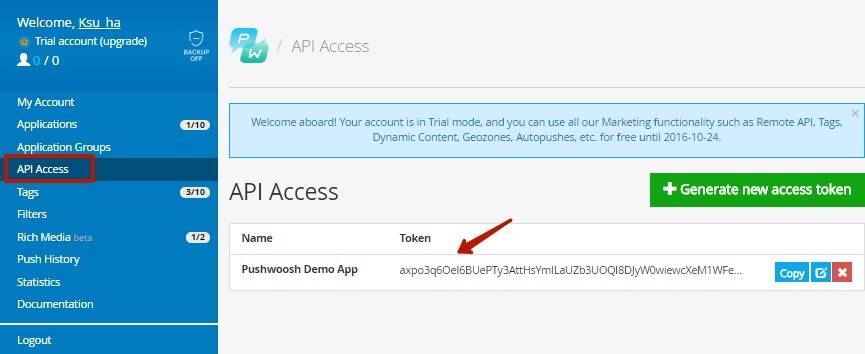 Доступ к API можно получить в разделе API Access