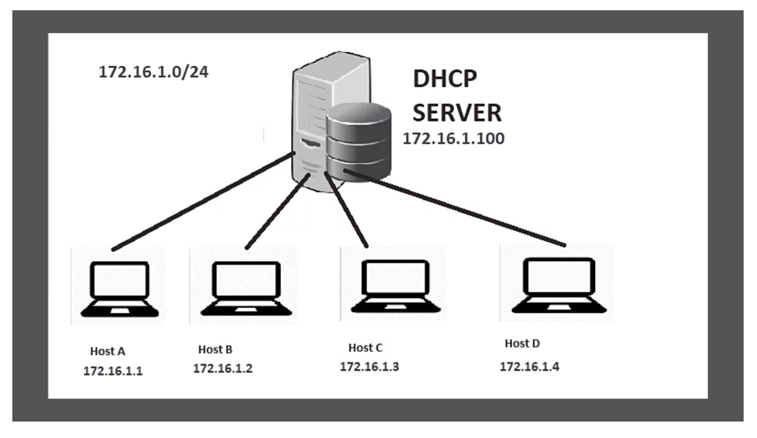 Что такое dhcp. DHCP сервер. DHCP сервер и клиент. DHCP: протокол динамического конфигурирования узлов. Схема работы DHCP сервера.