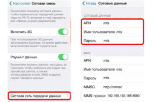  Данные, вносимые для соединения с МТС