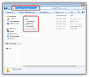 В директорию C:\Program Files\OpenVPN\config производится копирование ранее перенесенных файлов