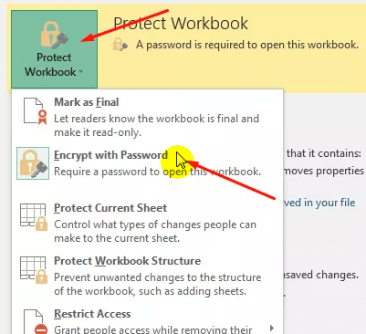 click protect workbook and select encrypt with password