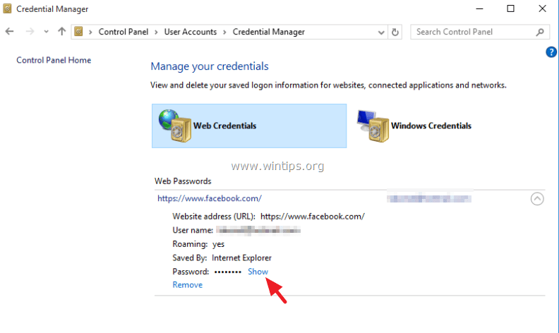 Microsoft Edge Show Saved Password