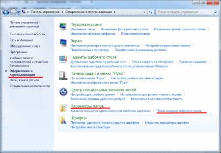 Как показать скрытые папки в windows 7